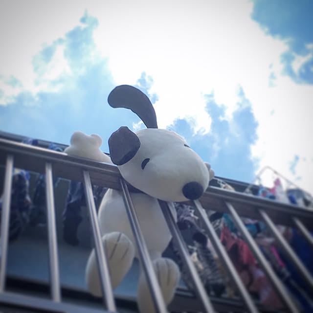onokenkoさんの実例写真