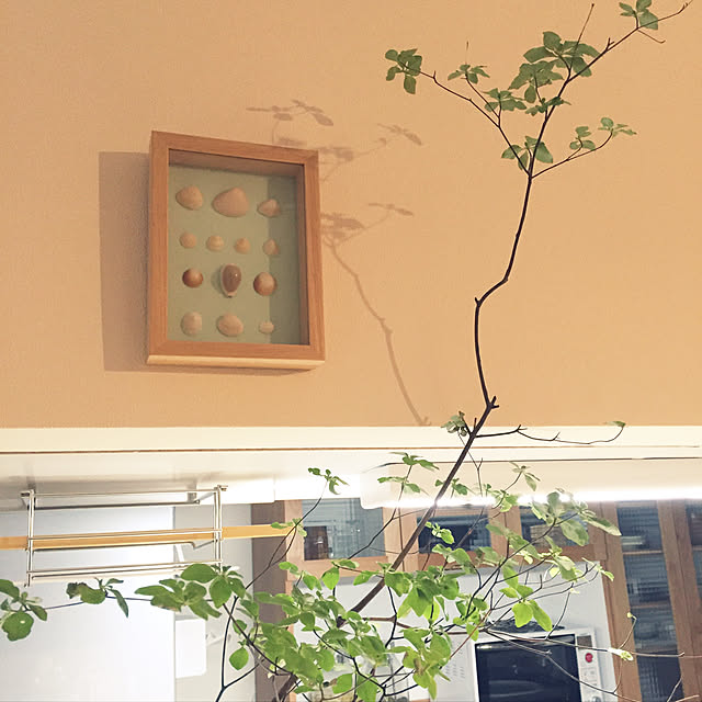 kotoさんの実例写真