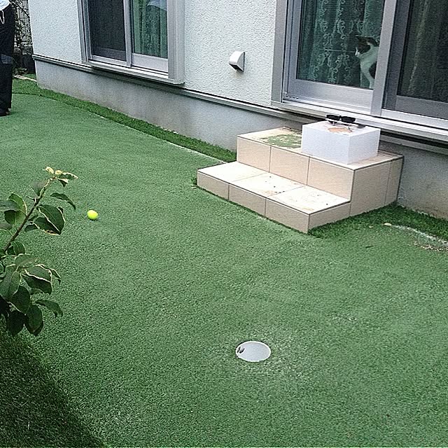 canaさんの実例写真