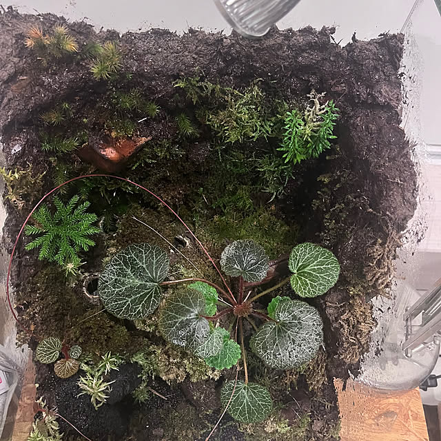 riakanaさんの部屋