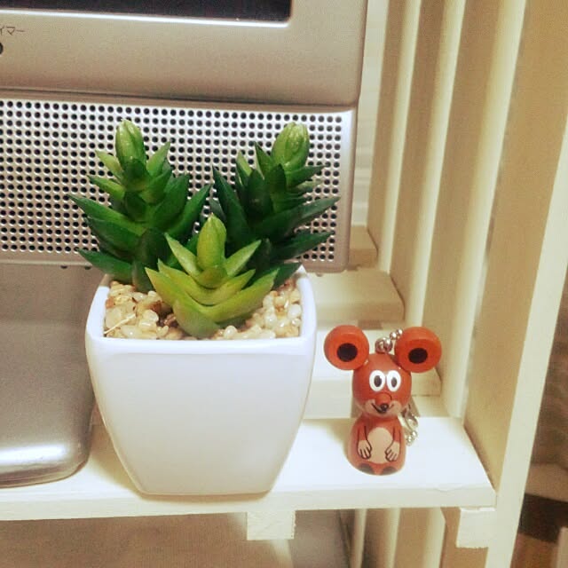 dotlaceさんの実例写真
