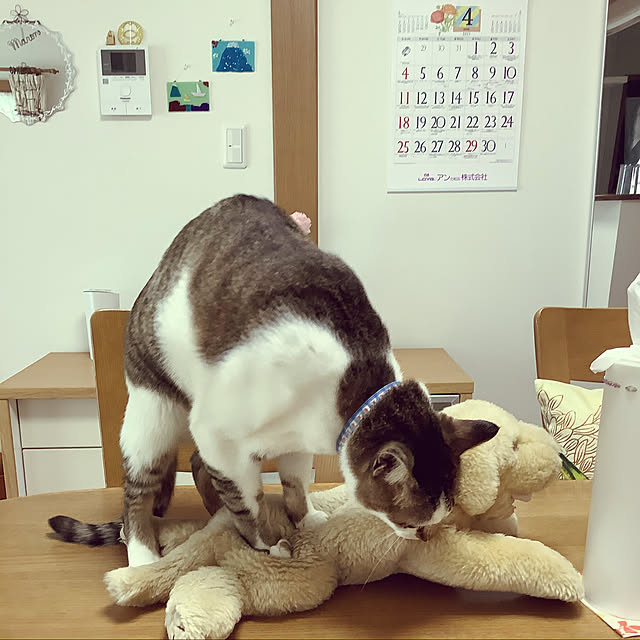 haruminさんの実例写真