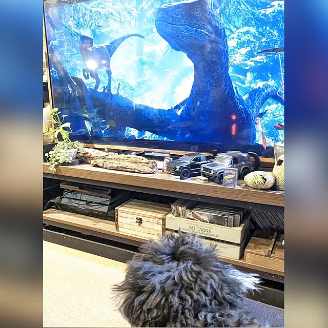 GINさんの実例写真