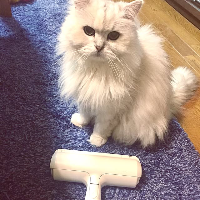 miyapp.hiroppさんの実例写真