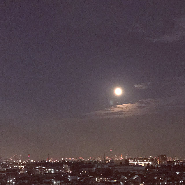 壁/天井/夜景✨/遠くにスカイツリー/遠くに東京タワー/1K 1人暮らしのインテリア実例 - 2018-02-10 15:12:20