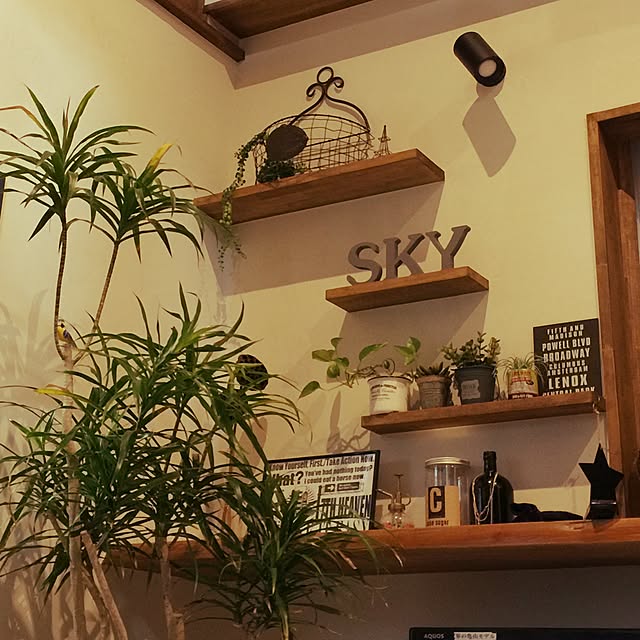 skyさんの実例写真