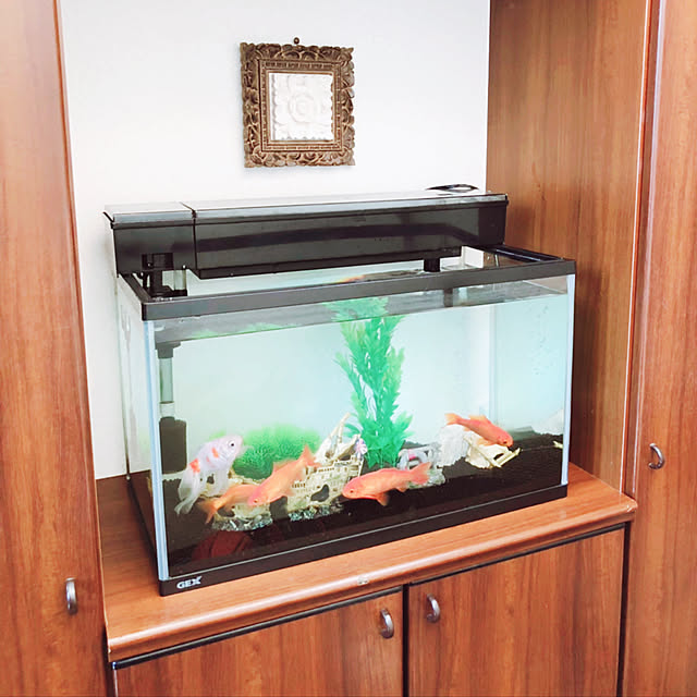kuromeruさんの実例写真
