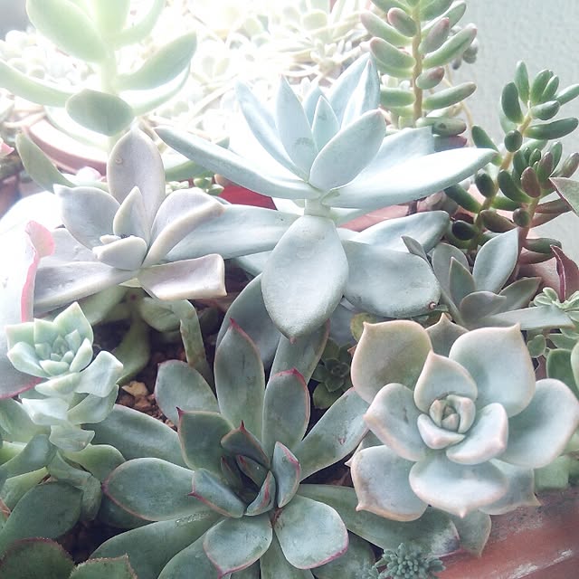 VERANDARJUNさんの実例写真