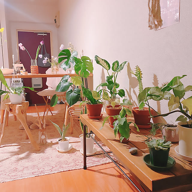smallroomさんの実例写真