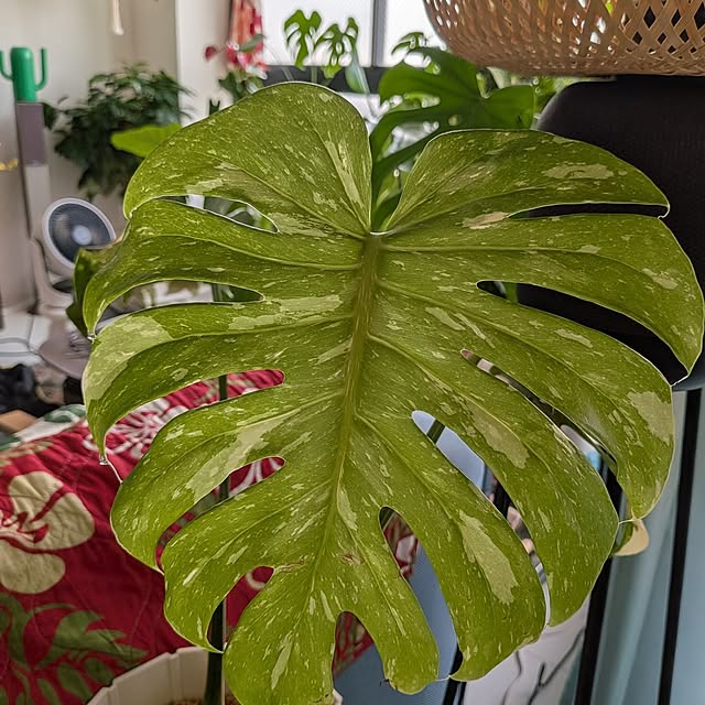 kolo92さんの部屋