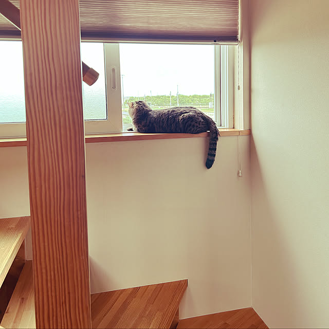 ruruさんの実例写真