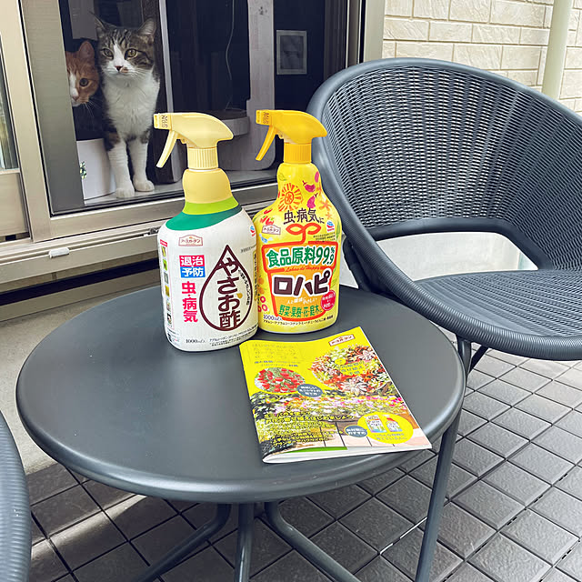 maimaiさんの実例写真