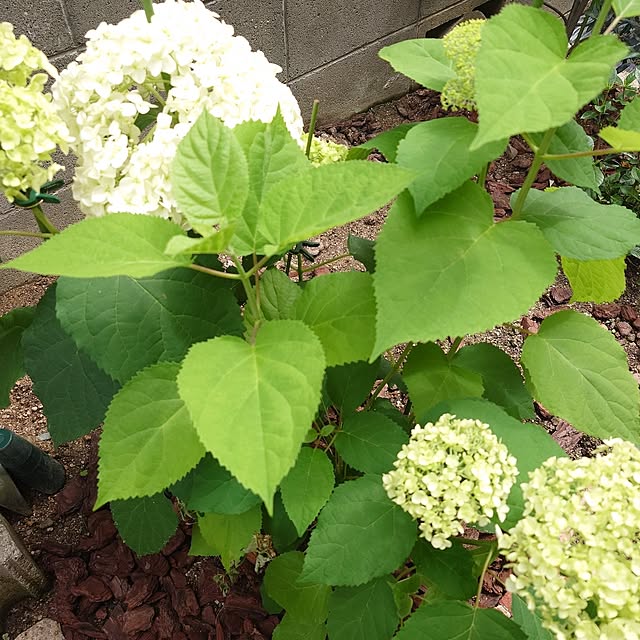 JUNKOさんの部屋
