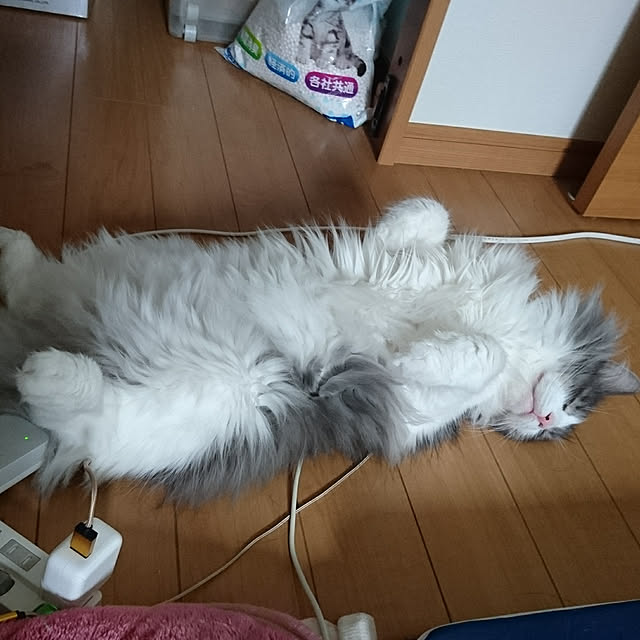 shinobuさんの実例写真