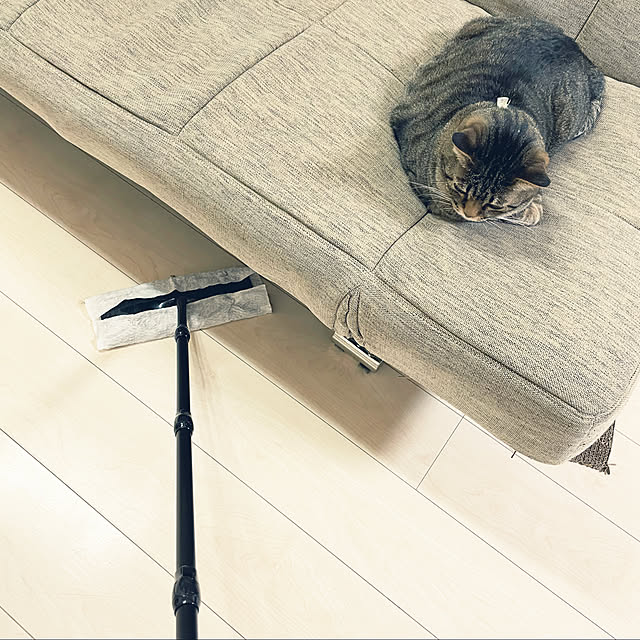 t-famさんの実例写真