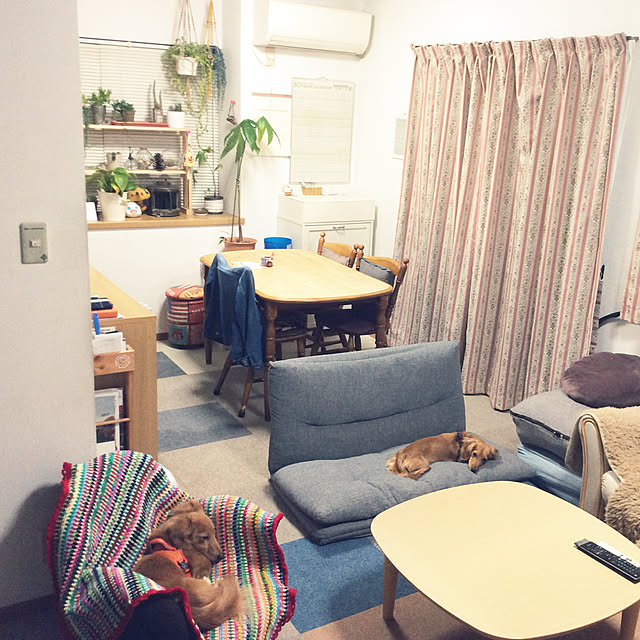 ki-mi0808さんの実例写真