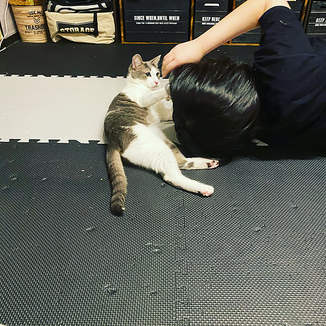 YUKA-REO-MOMOKOさんの実例写真