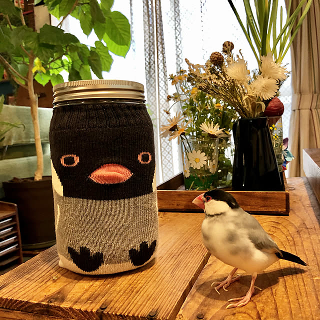 soramameさんの実例写真