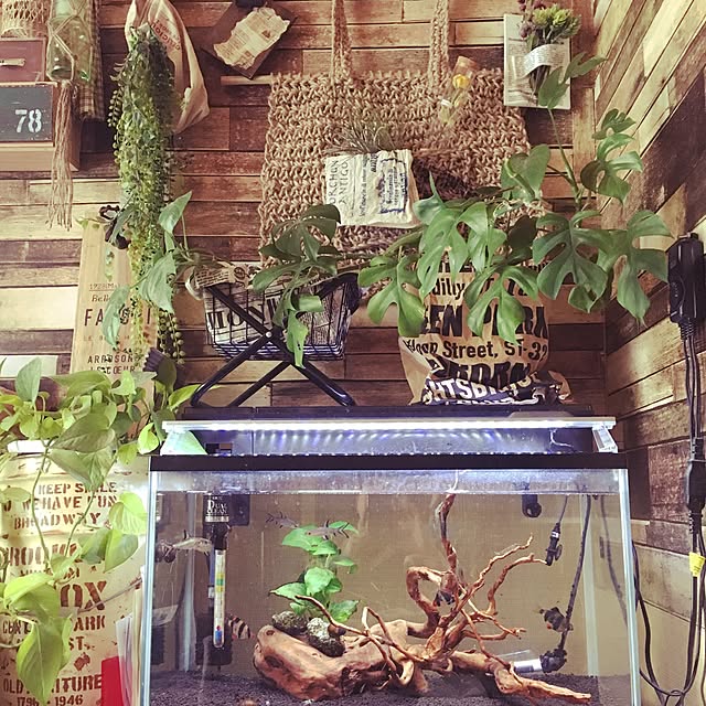korokoroさんの実例写真