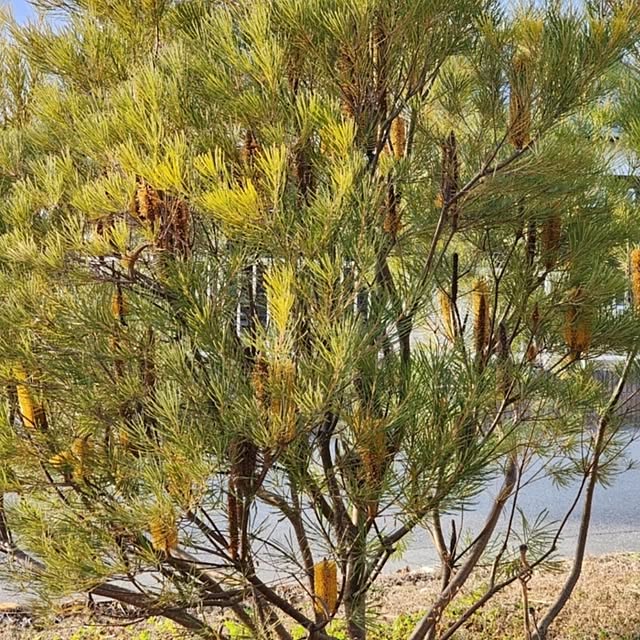 chiii13さんの部屋