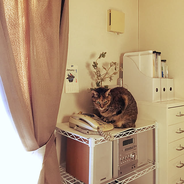 junbuさんの実例写真