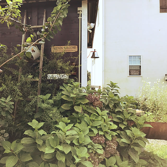 TOROさんの実例写真