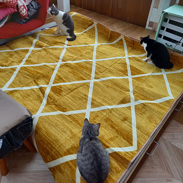 chako.さんの実例写真