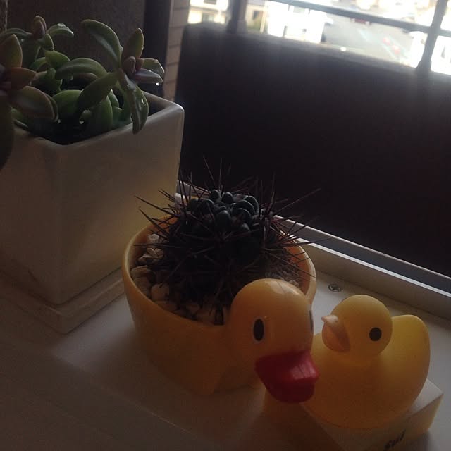 yさんの実例写真