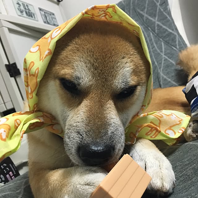 kotaさんの実例写真