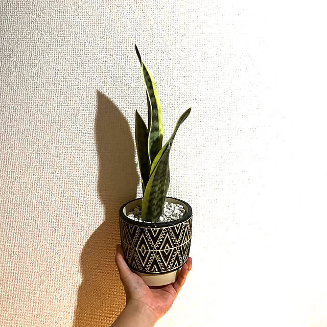 hitori_gurashi_さんの実例写真