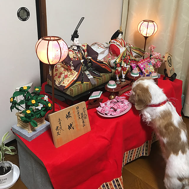 m-ktry.0530mikaさんの実例写真