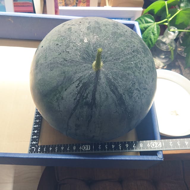 NAOKIさんの部屋