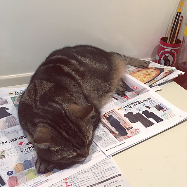 mikomaruさんの実例写真