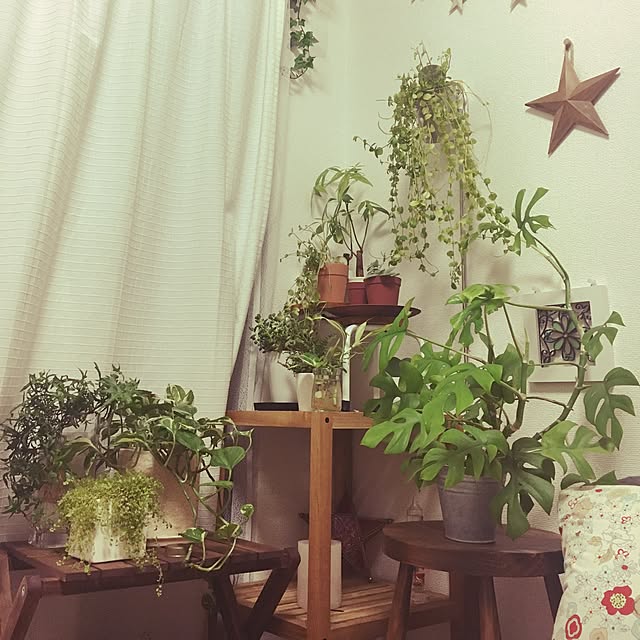 DAISYさんの実例写真