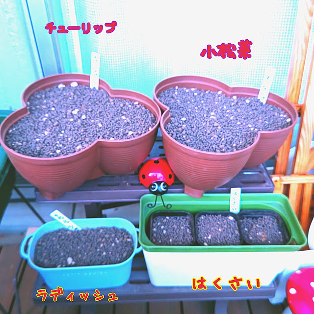 mariaさんの実例写真