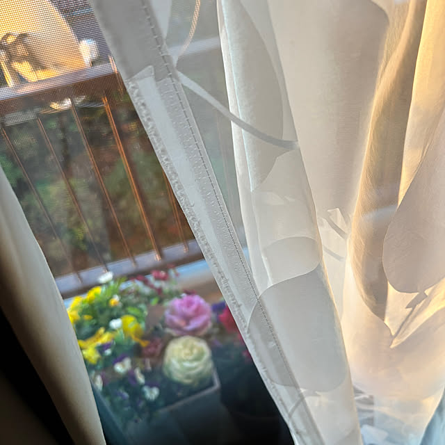 syutmmさんの部屋