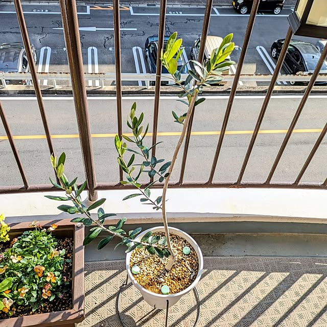 mi-saさんの実例写真