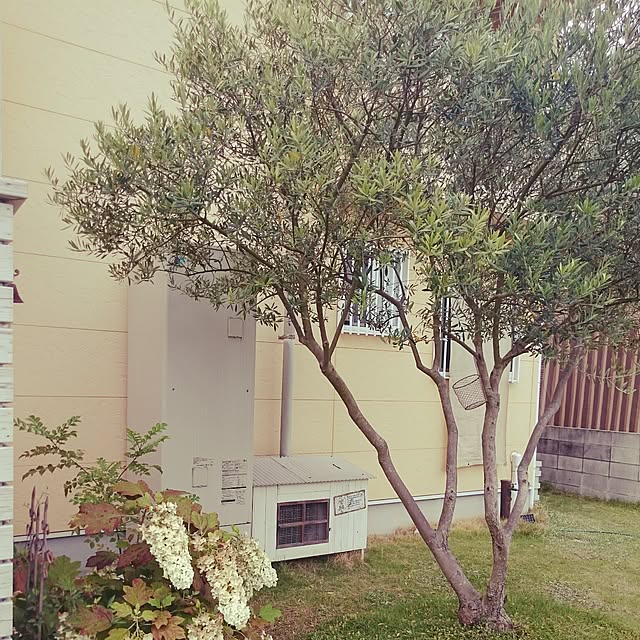 180447hiroさんの実例写真