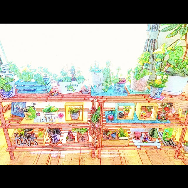 yukichiさんの実例写真
