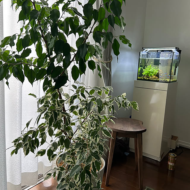 etsuさんの部屋