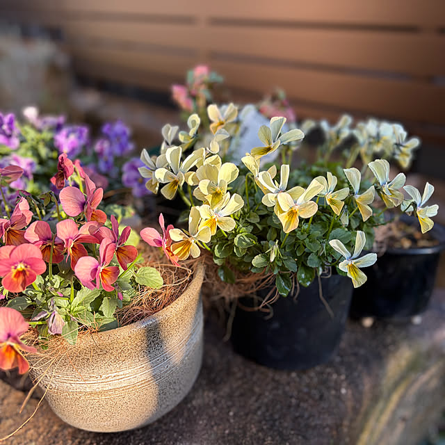 buchiさんの実例写真