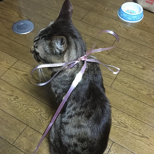 megkeiさんの実例写真