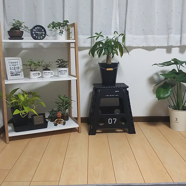実例写真