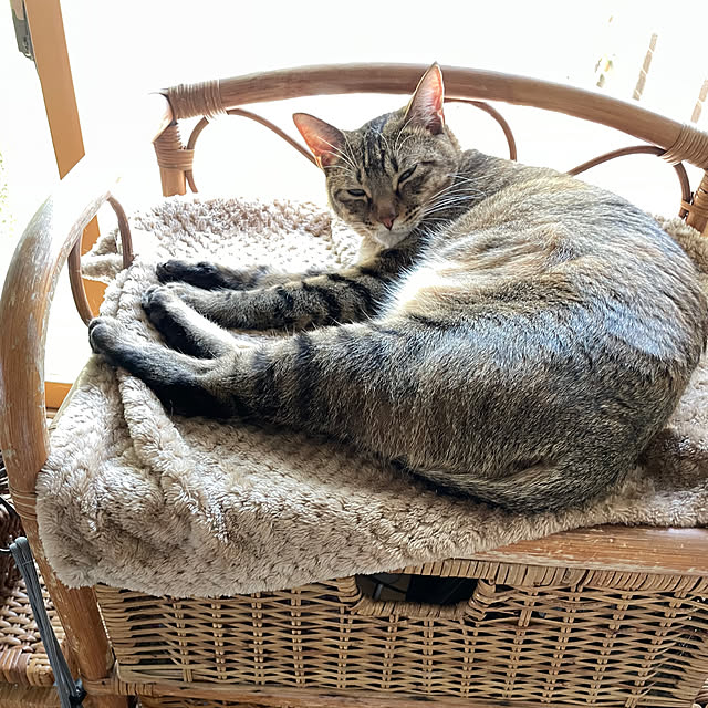 niko.mamさんの部屋