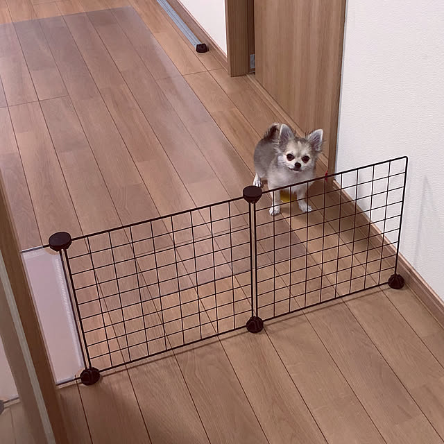 umiさんの実例写真