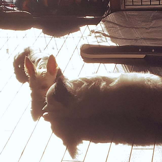 ohanaさんの実例写真