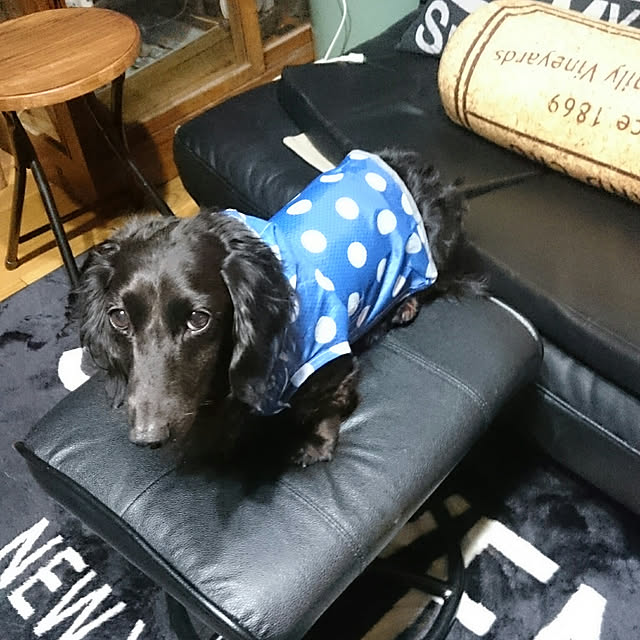 tikuwaさんの実例写真