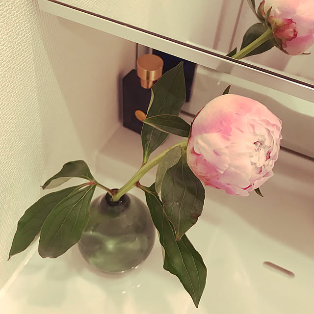 mana555さんの実例写真