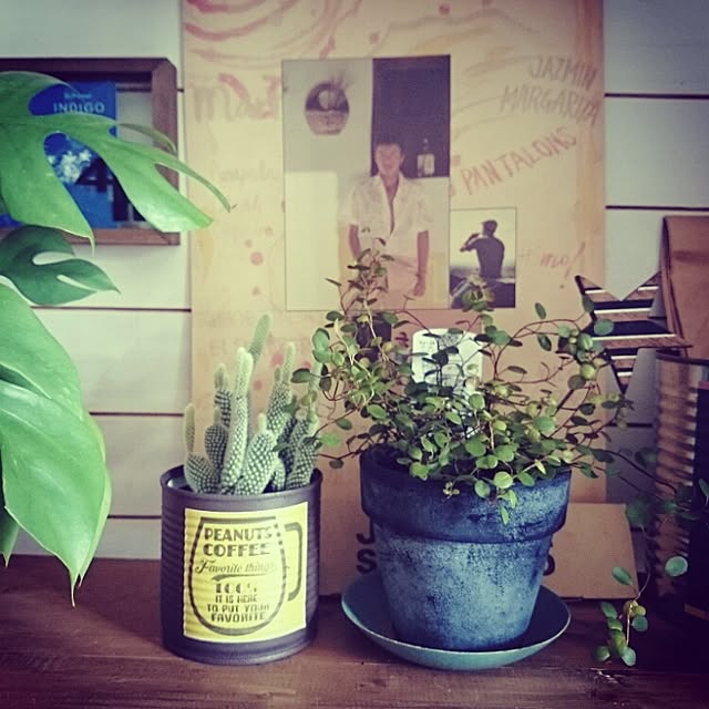 cafe-plageさんの実例写真