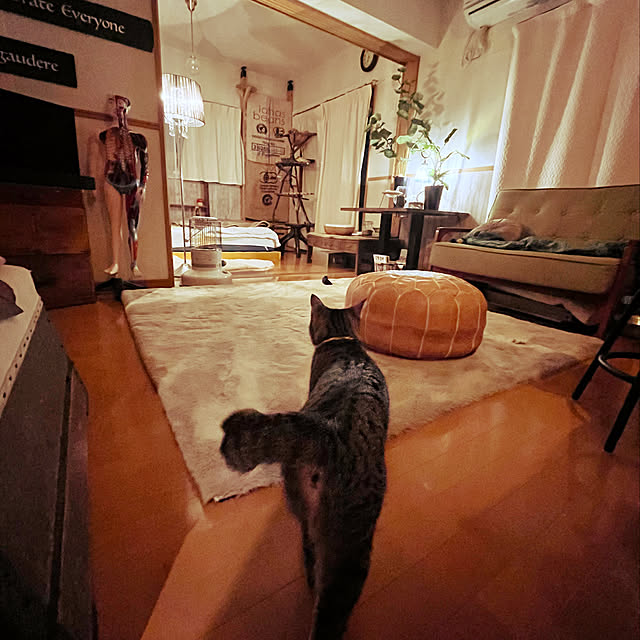 Mさんの実例写真